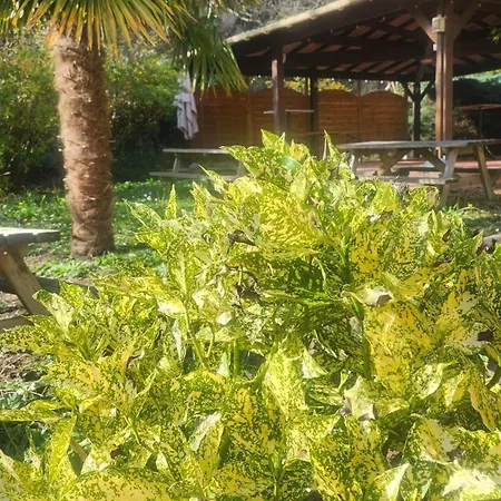 Hotel Logis La Cascade 3*