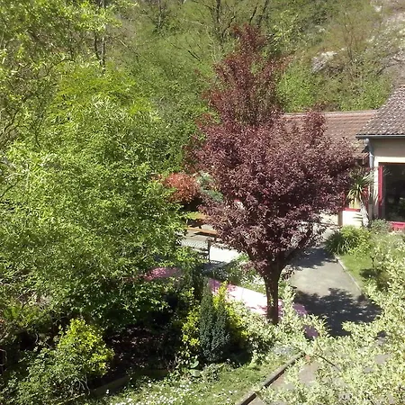 Hotel Logis La Cascade 3*